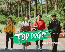 禁漫天堂《TOP DOG》免费在线观看